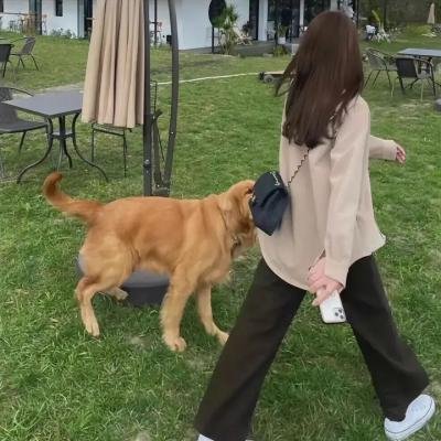 父仇者